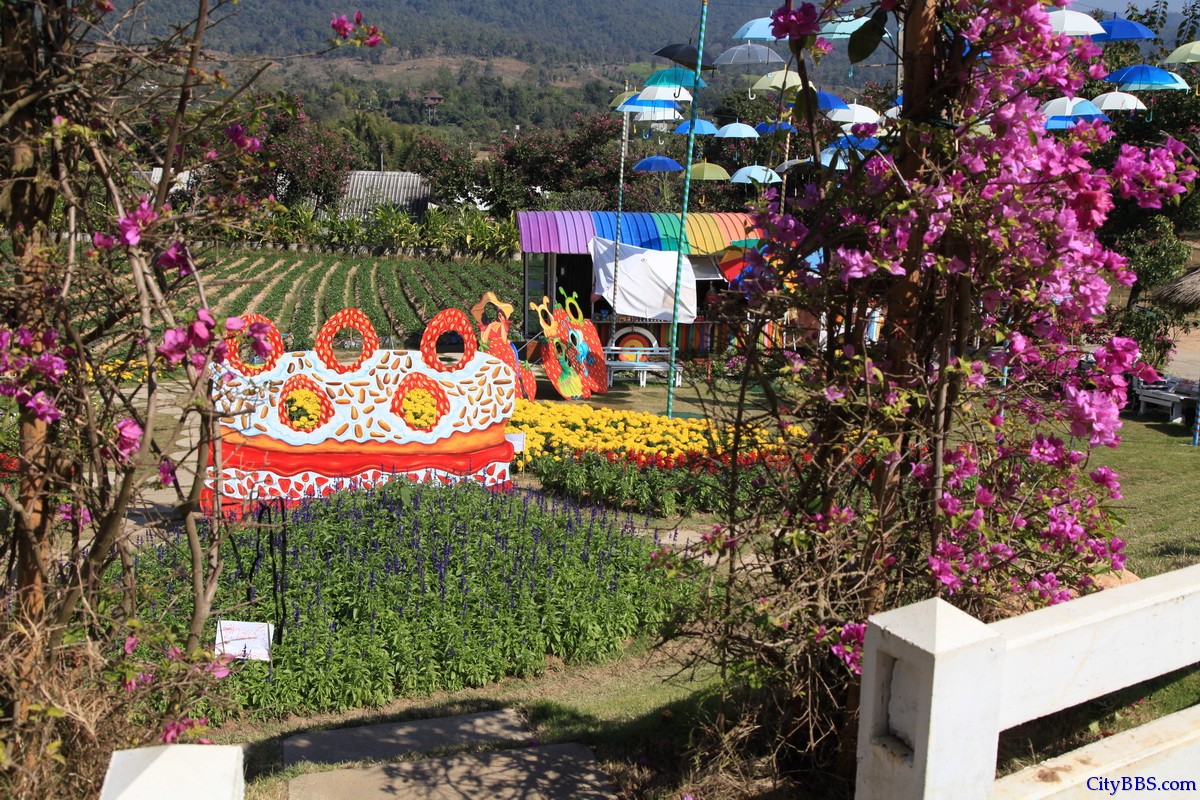 泰国北部清迈至Pai县自驾游